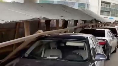 Фото - Сильный ветер повредил 14 автомобилей в Москве