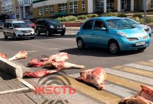 Фото - В Белгороде неизвестные потеряли свиные туши на дороге